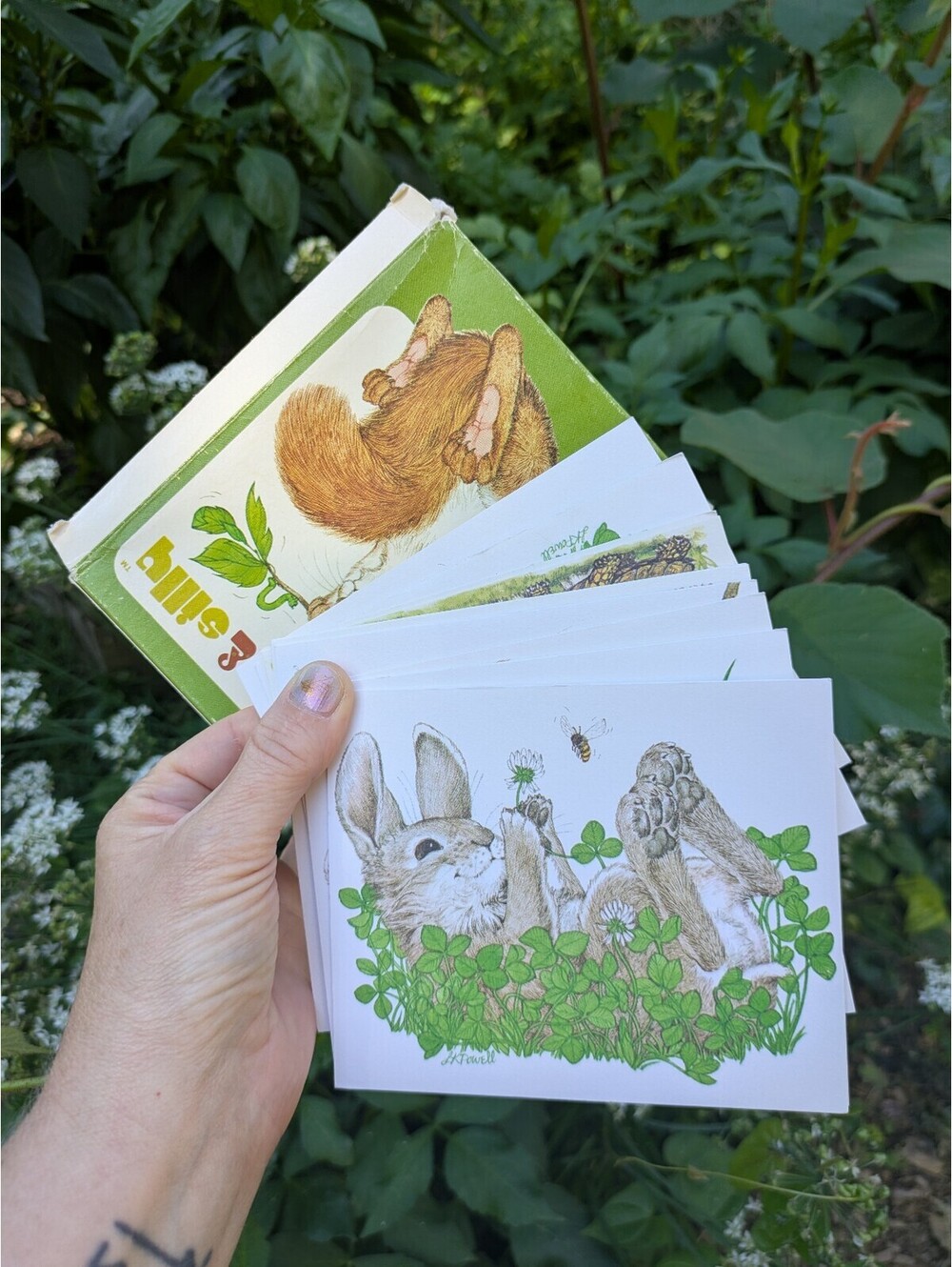Vintage Blank Cards, Cute Animal Illustrations, With Original Box & Envelopes
